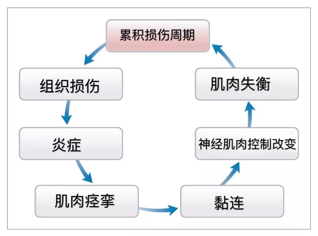 累积损伤周期