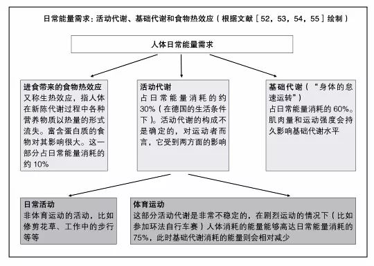 食物热效应