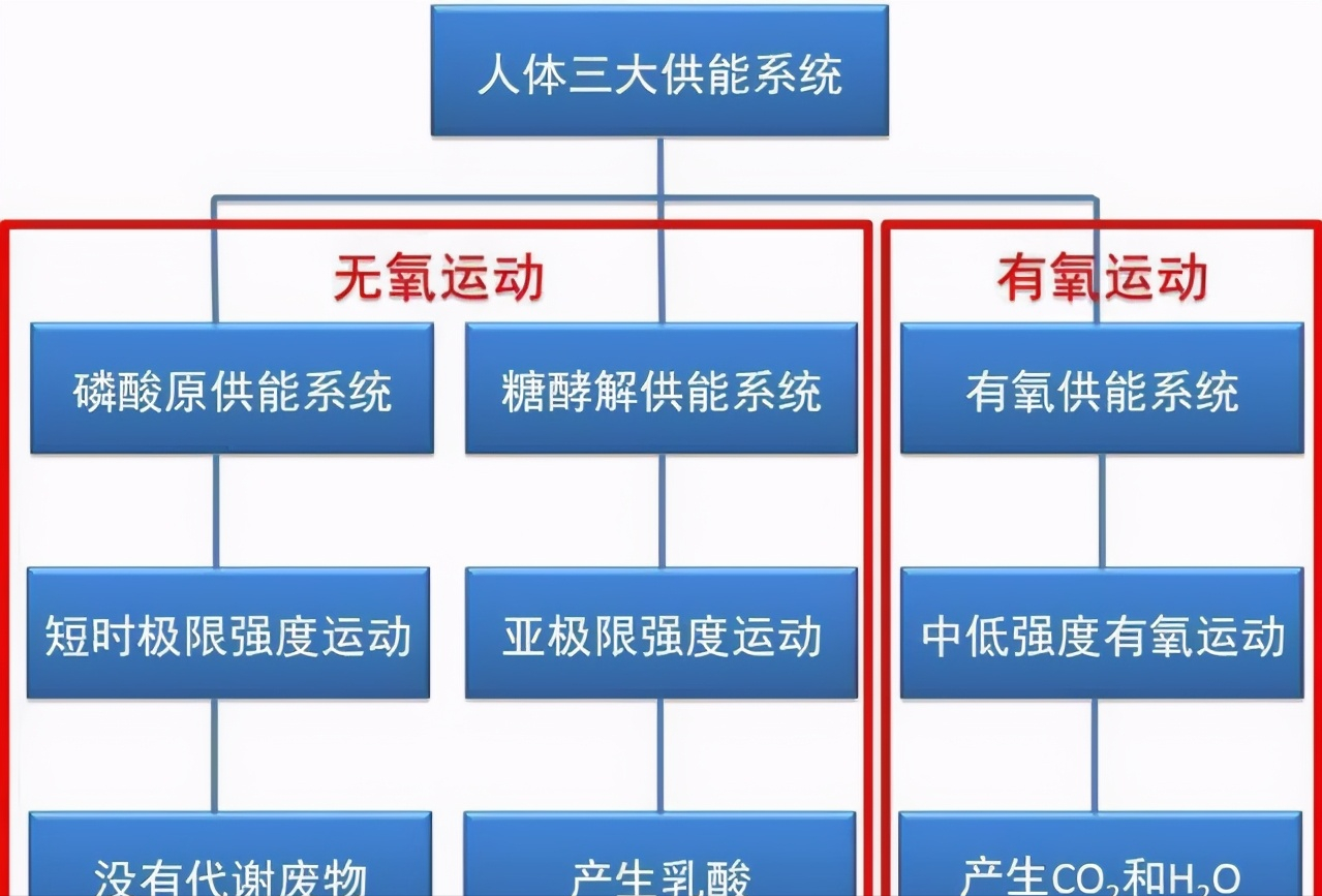 有氧运动和无氧运动的区别