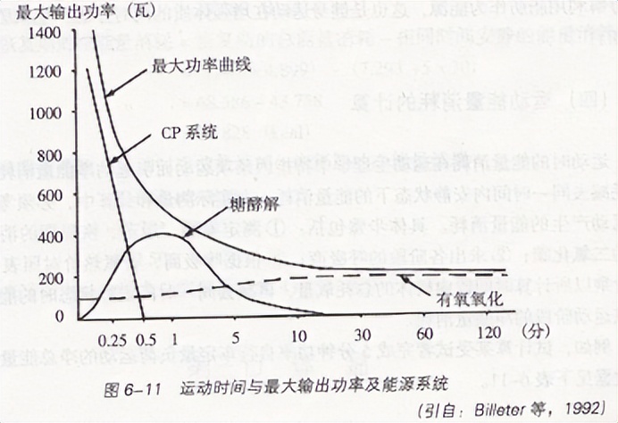 健身真的需要考虑皮质醇吗？无氧运动不是不减少脂肪吗？！