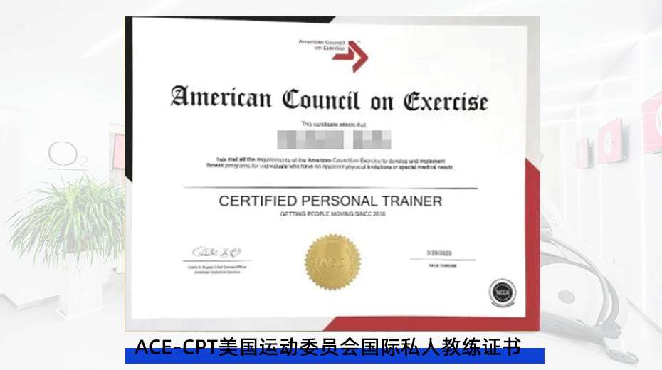 ACE-CPT美国运动委员会私人教练证