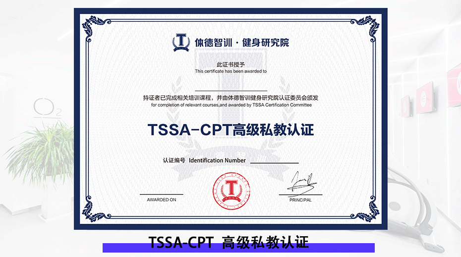 TSSA体德智训高级私教认证
