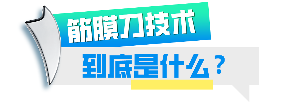 体德健身教练培训